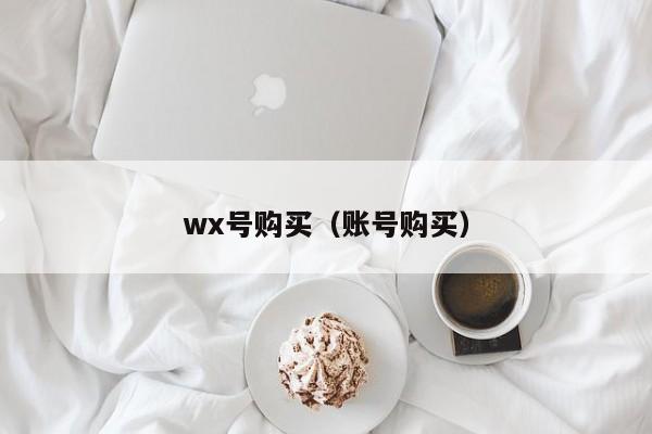 wx号购买（账号购买）