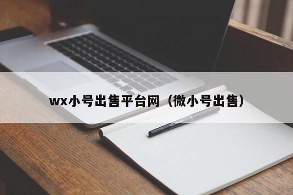 wx小号出售平台网（微小号出售）