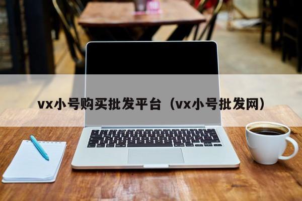 vx小号购买批发平台（vx小号批发网）